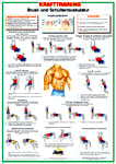 Brust Krafttrainingstafel